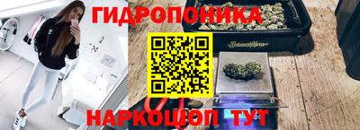 гидра Гуково