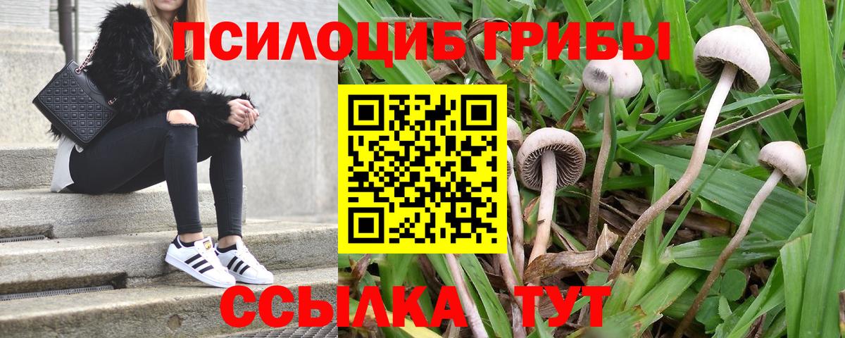 Псилоцибиновые грибы ЛСД  Вход с VPN  магазин    Галлюциногенные грибы MAGIC MUSHROOMS  Батайск 