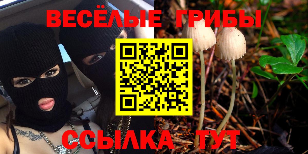 Псилоцибиновые грибы прущие грибы Батайск